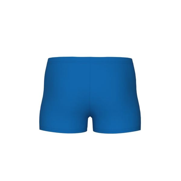 ARENA ERKEK ÇOCUK ŞORT YÜZÜCÜ MAYO BOY'S ARENA LOGO GRAPHIC SWIM SHORT 008173880